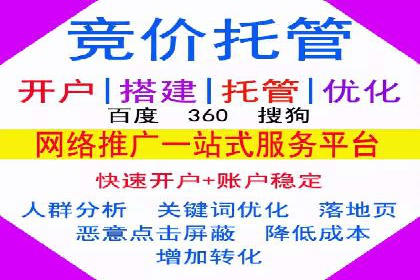 百度推广实战：成功案例解析